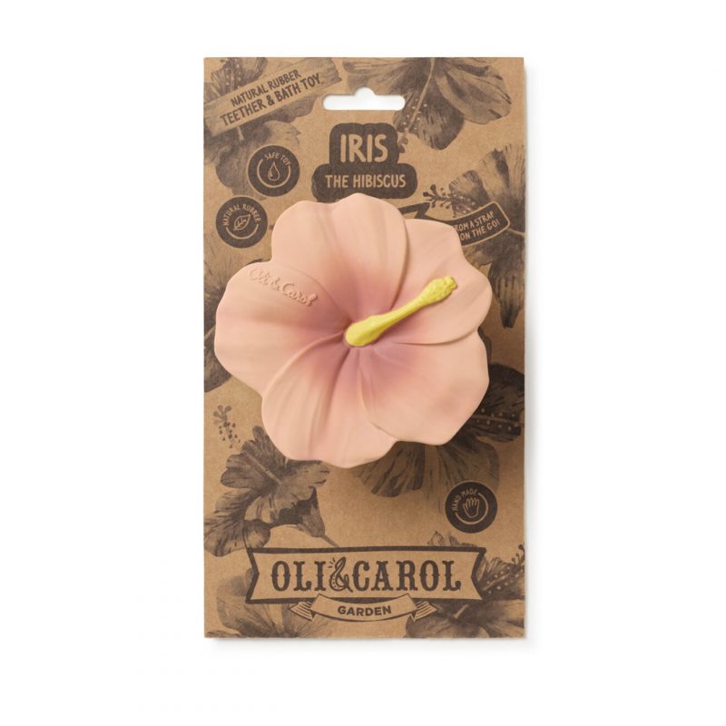 OliCarol_Iris-hibiscus-6